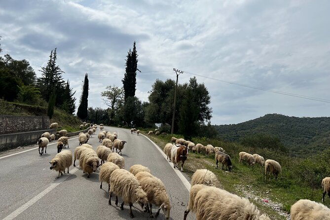 2 Day Tour of the Riviera, Gjirokastra UNESCO city and Blue Eye, - Zvërnec Island and the Byzantine monastery