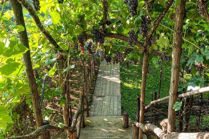 2 Days Tirana, Berat and Castle of Berat Tour - Berat rewards a slower walk after the castle