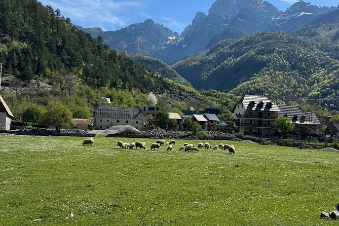 Albanian Alps and Theth Village Day Tour from Tirana - What to bring for a smoother day