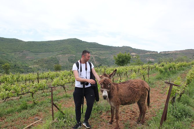 Albanian Highlights - UNESCO sites ,Nature and Food tour - Key points to know before booking