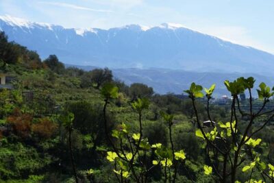 Ancients and Ottomans – Apollonia and Berat