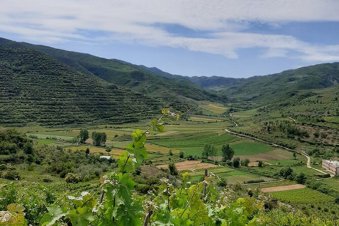 Berat 4x4 Off-Road and Vineyard Wine Tasting - Meeting the family at Kantina Vila Hadaj