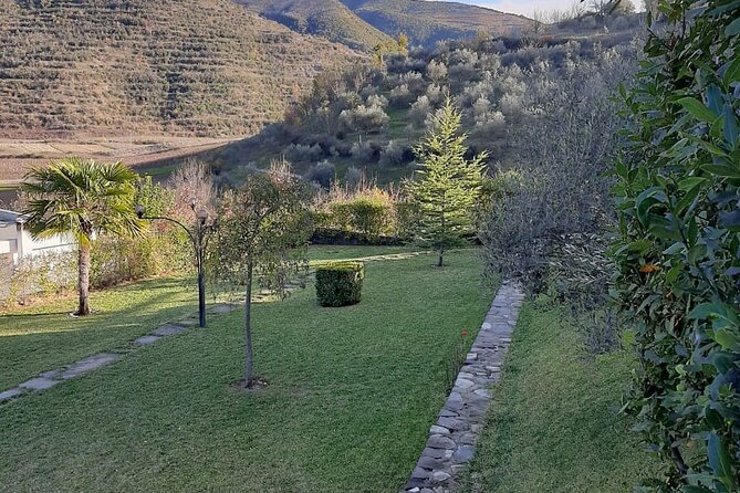 Berat 4x4 Off-Road and Vineyard Wine Tasting - Weather, timing, and cancellation details