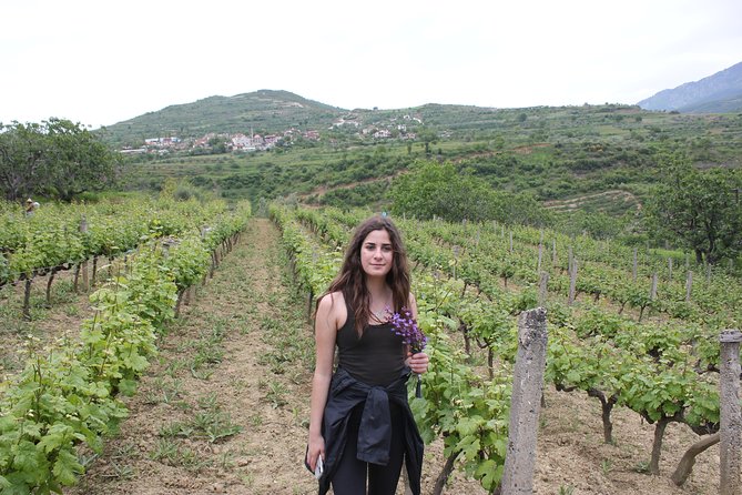 Berat Grand Wine Tasting & Food Tour - The Optional Meal at the End