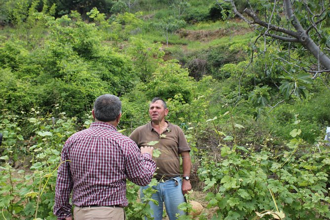 Berat Grand Wine Tasting & Food Tour - Who Will Enjoy This Experience Most?