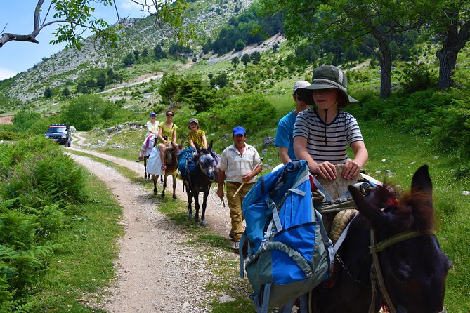 Berat Hiking Off Road picnic lunch in Tomori Holy Mount - Starting in Berat at 9:00 a.m.