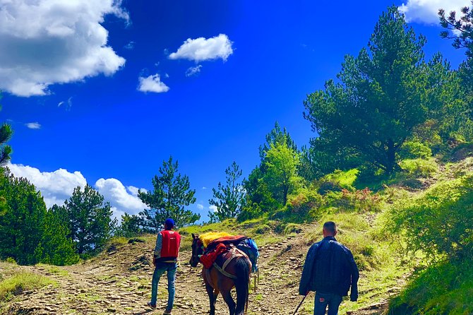 Berat Hiking Off Road picnic lunch in Tomori Holy Mount - Returning Through Qafe Dardhe Village