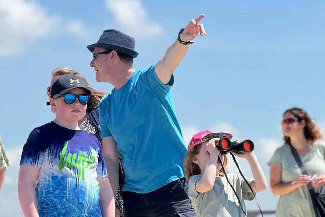 Birdwatching Experience in Narte Lagoon & Akerni Dunes - Hidrovorri forest, dunes, and the beach