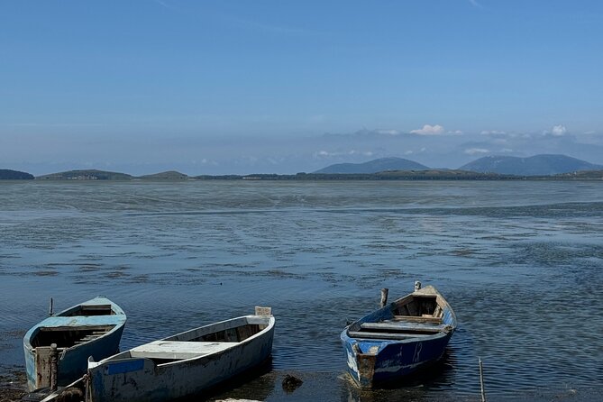Birdwatching Experience in Narte Lagoon & Akerni Dunes - Is $179.31 a fair price?