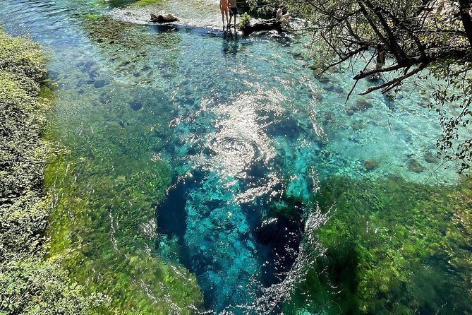 Blue Eye And Lekuresi Castle, 4 Hour Nature and Historical Tour - Why the guide can make the spring stop better