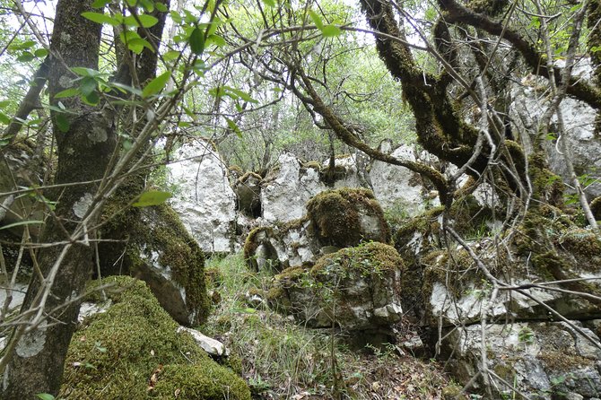 BOGOVA WATERFALL & WINERY TOUR from Berat by 1001 AA - Guide quality and group size