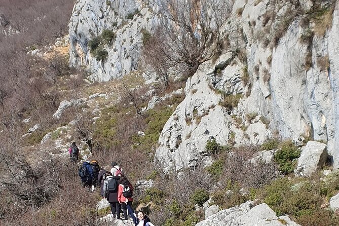 Bovilla lake Hiking Experience - Who will enjoy this outing most
