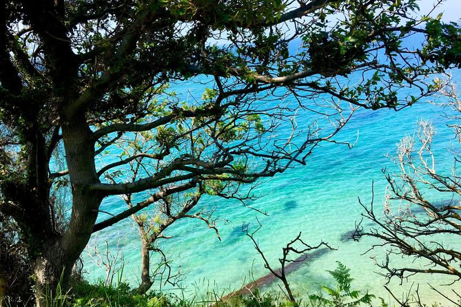 Cape of Rodon & Bunkers Day Tour Adventure from Durres - Lalzi Bay, a brief look at the Adriatic