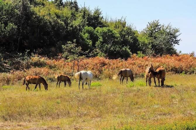 Cape of Rodon & Bunkers Day Tour Adventure from Durres - What $137.75 buys you
