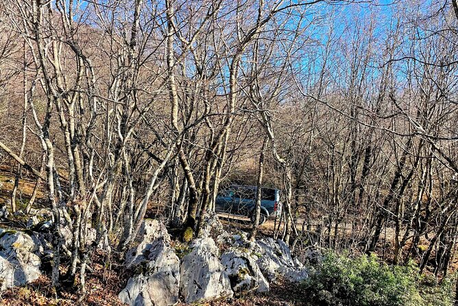 Dajti Mountain & Shengjergj Waterfall Day Trip on Land Rover - What the $89.89 price really covers