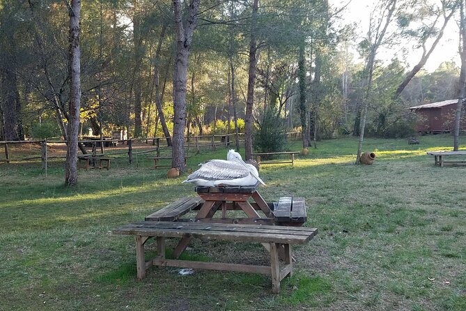 Day Tour of Berat and Karavasta Lagoon from Tirana&Durres - Who will enjoy this day most