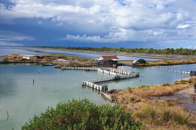 Day Tour of Berat and Karavasta Lagoon from Tirana&Durres - From wetland quiet to Berat’s Mangalem quarter