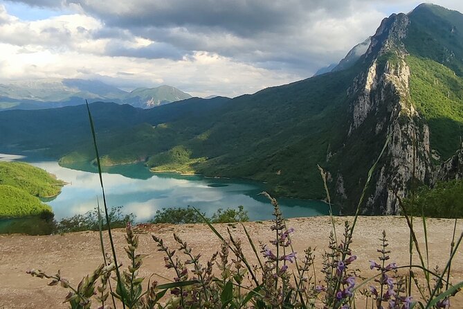 Day Trip to Bovilla Lake and Kruja city (from Tirana) - Lunch: useful flexibility, but ask the right questions