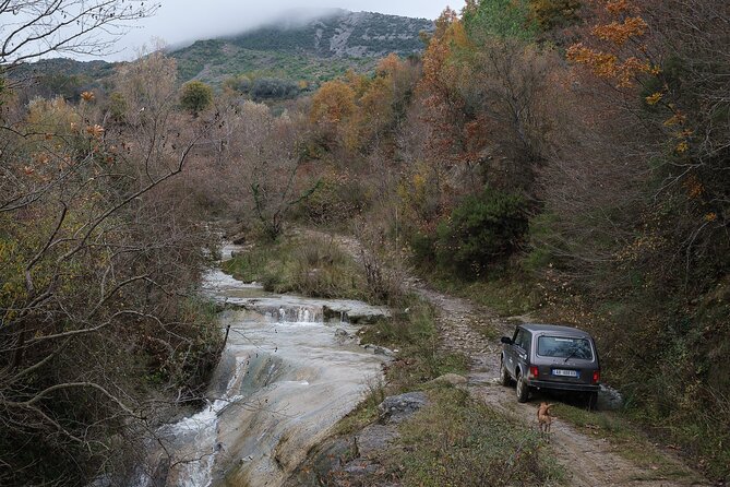 Drive a 4x4 Off-Road in the Tirana Valleys - Plants, stories, and a guide who pays attention