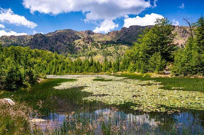 Exclusive Qafshtama National Park Hiking Tour With Private Transfer - Four hours among Qafshtama’s pine forests
