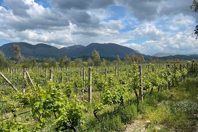 Experience Blue Eye , Lekuresi Castle and Taste Traditional Albanian Wine - Helpful details before you reserve