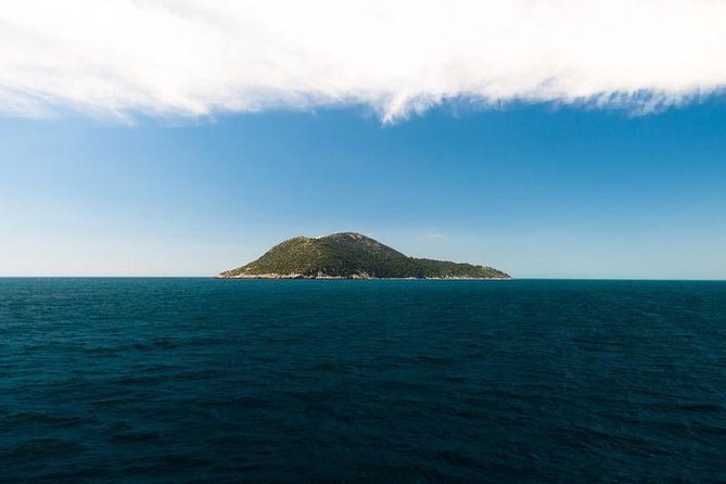 Explore Vlora Bay: Sazani Island &Karaburun peninsula from Tirana - Is $260.90 good value?
