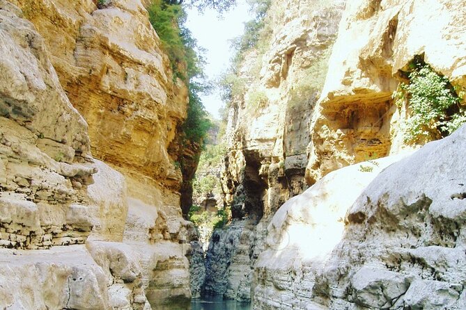 From Berat exploring Bogova waterfall & Osumi canyon - Food that adds a local touch