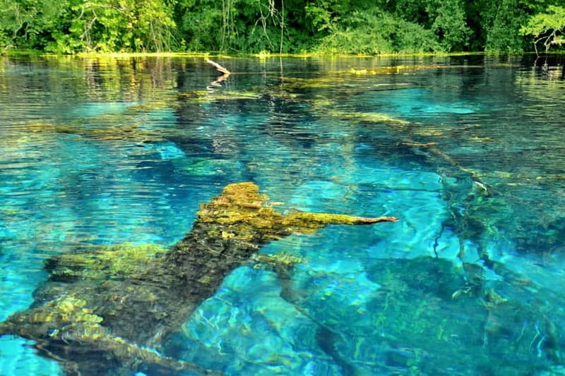 From Durrës/Golem: Saranda, Ksamil, and Blue Eye Day Trip - Who should book this experience?