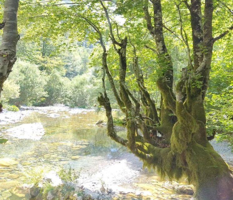 From Tirana: 2-Day Private Tour of Theth and Shkoder - Key points to know before booking