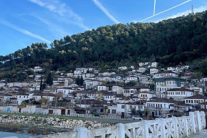 From Tirana: Berat UNESCO & Belshi Lake Full-Day Tour - Price, group size, and practical value