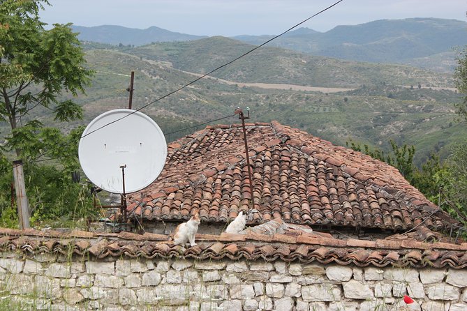 From Tirana Day Trip to Berat -Historical Walking - Onufri Museum puts Berat’s art in context