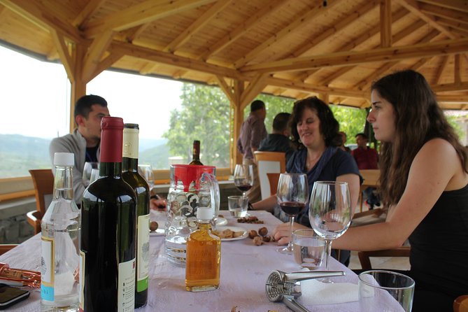 From Tirana Wine Tasting & Food tour in Berat - The winery choice: Çobo, Alpeta, or Pupa