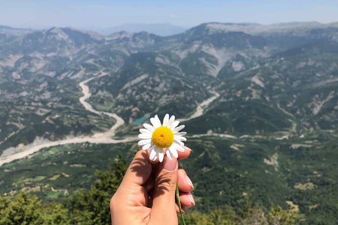 Full Day Tirana City & Dajti National Park, Private Tour - The Pyramid of Tirana and a Building With Many Lives