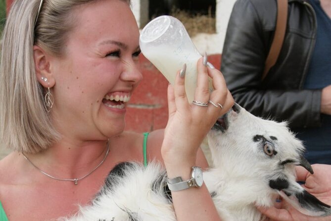 Gourmet Lunch Farm Tour with Cooking Class - Six courses served in the open air