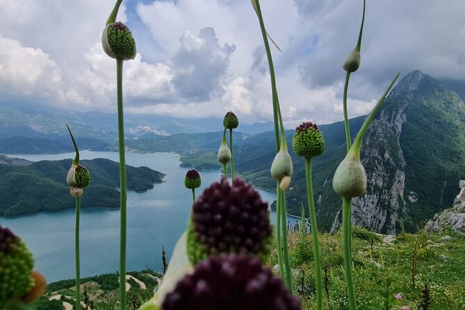 Hiking to Gamti, Bovilla Lake and Kruja Day Trip from Tirana - Arriving in Kruja for lunch and views