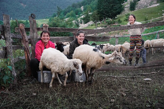 Immersive 2-Day Tour/Homestay with Shepherds in the Albanian Alps - Key points to know before booking