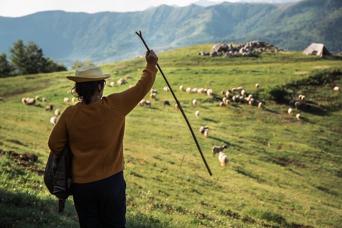 Immersive 2-Day Tour/Homestay with Shepherds in the Albanian Alps - The overnight choice: cabin simplicity or camping outdoors