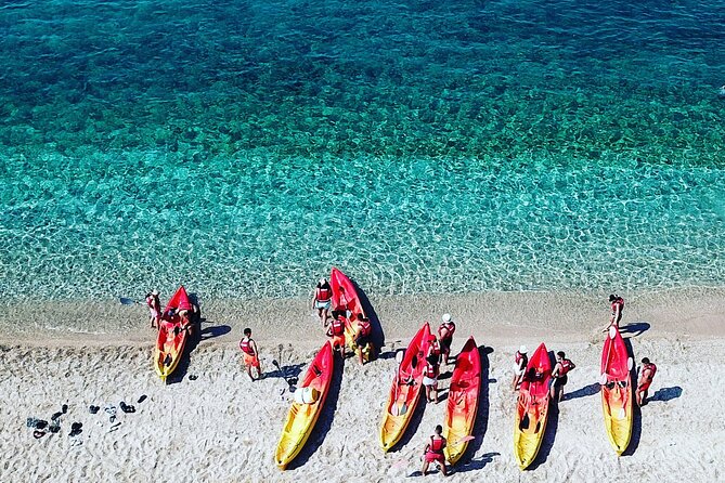 Kayak day in the coastline - Key points to know before you book
