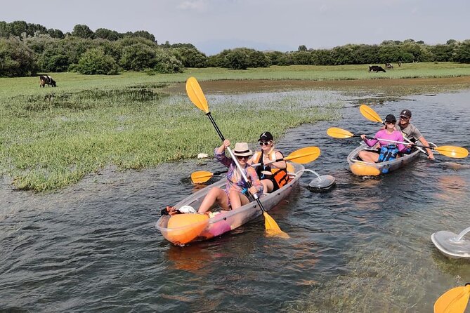 Kayak or Stand Up Paddle in Shkodra Lake and Buna River - Key details at a glance