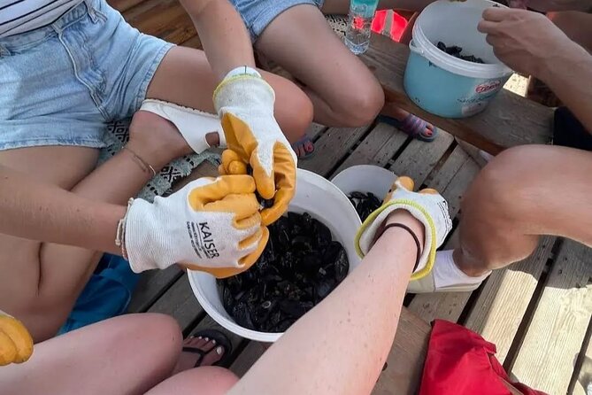 Ksamil: Mussel Sailing Tour with Food and Drink in Albania - The mussel lunch at the lakeside restaurant