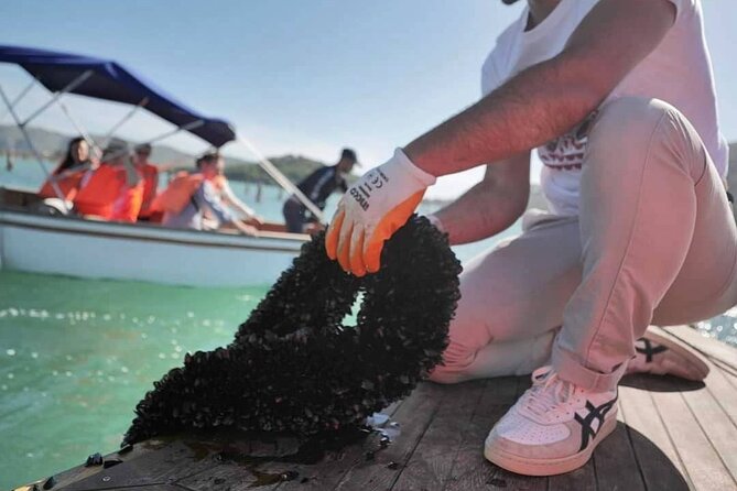 Ksamil: Mussel Sailing Tour with Food and Drink in Albania - A small-group experience with a local feel