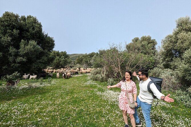 Llogara Caesar's Path,Orikum Park & Marmiroi Church Guided Tour - Why this Vlore day trip works
