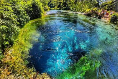 One Day Tour Blue Eye Albania