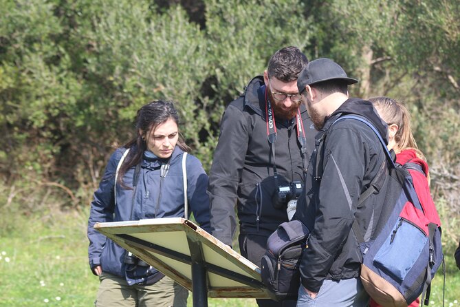 Private Birding Tour in Albania - The first nature walks and the value of good equipment