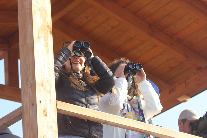 Private Birding Tour in Albania - Starting at Rinas Airport in Tirana