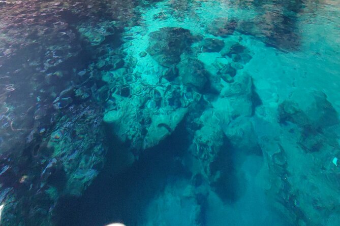 Private Half Day Boat Sazani Island & Haxhi Aliu Cave - Timing problems to prevent before departure