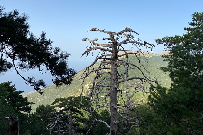 Private Hiking Tour in Çika Mountain - Views that make the effort worthwhile