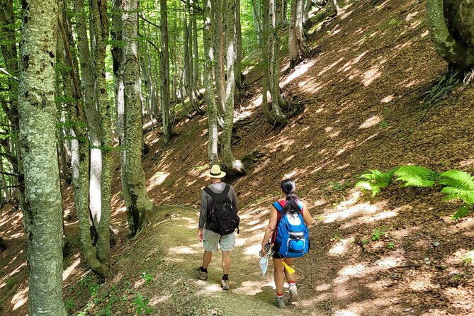Self-Guided Hiking Tour: Theth, Valbona & Koman Lake in 3 Days - Why this three-day route works