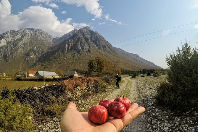 Self-Guided Hiking Tour: Theth, Valbona & Koman Lake in 5 days - Day 5: The Koman Lake boat ride