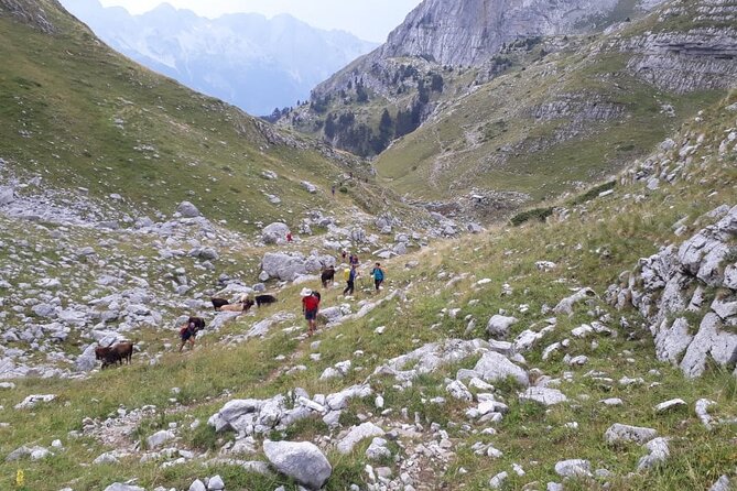 Self - Guided Peaks of the Balkans tour in 7 days - Day 3: Theth to Valbona over the old mule trail